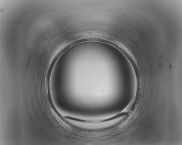 X0000080710791200612221141