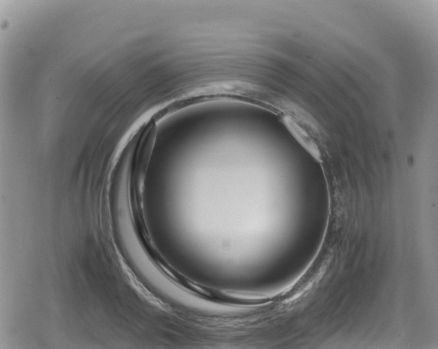 X0000080710792200612221141