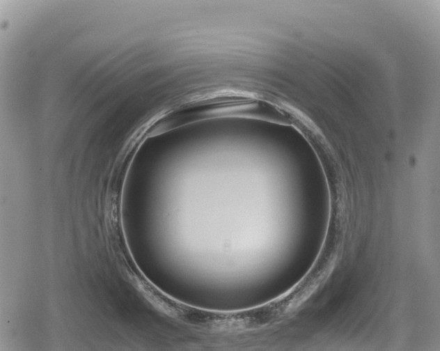 X0000080710793200612221141