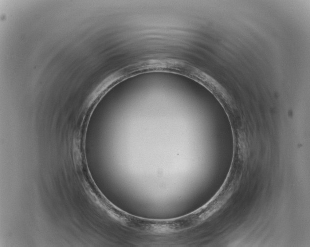 X0000080710794200612221141