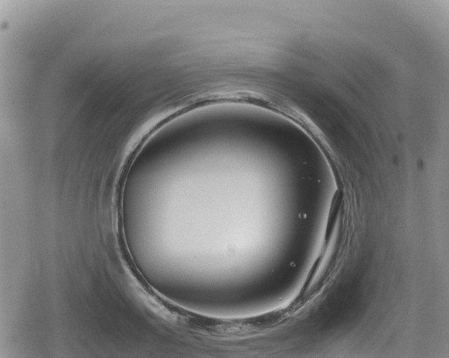 X0000080710795200612221141