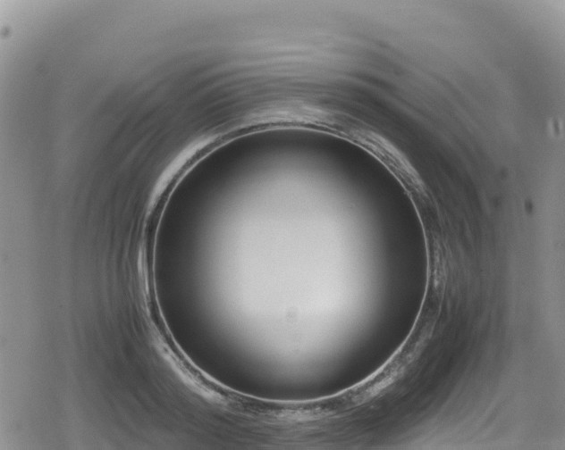 X0000080710796200612221141