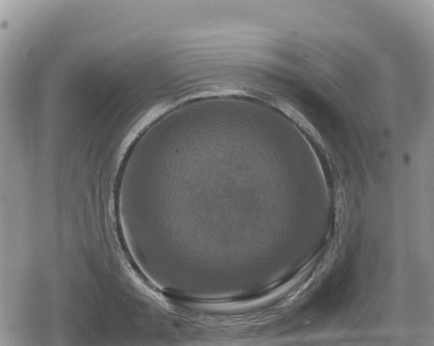 X0000080710797200612221141