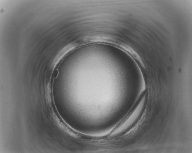 X0000080710798200612221141