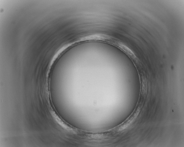 X0000080710800200612221141