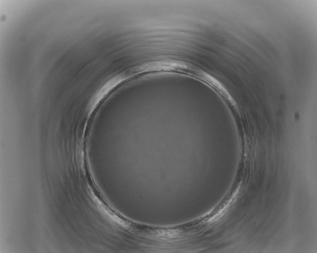 X0000080710802200612221141