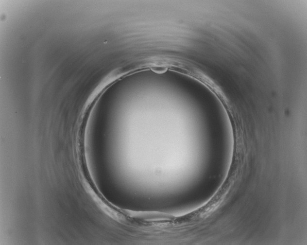 X0000080710803200612221141