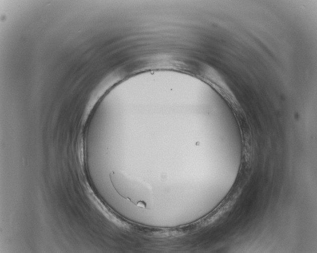 X0000080710804200612221141