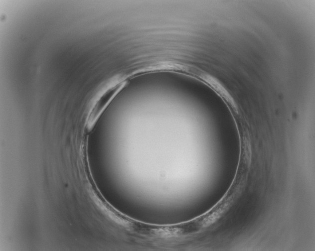 X0000080710805200612221141