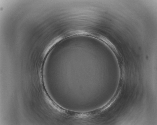 X0000080710806200612221141