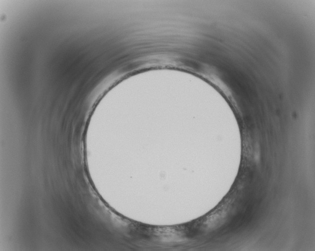 X0000080710807200612221141