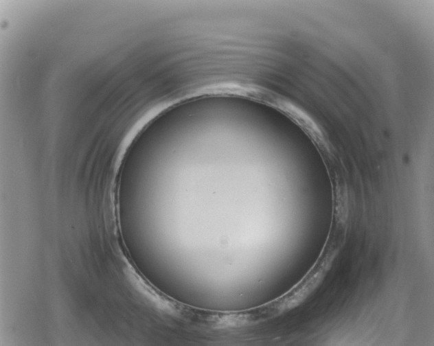 X0000080710808200612221141