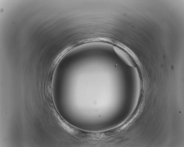 X0000080710809200612221141