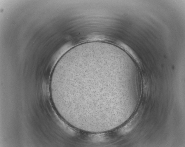 X0000080710810200612221141