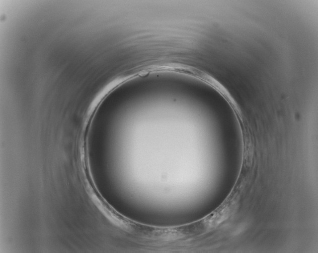 X0000080710811200612221141