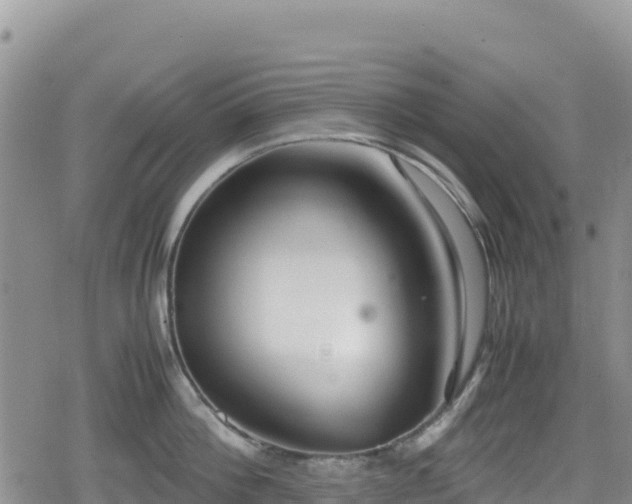 X0000080710812200612221141