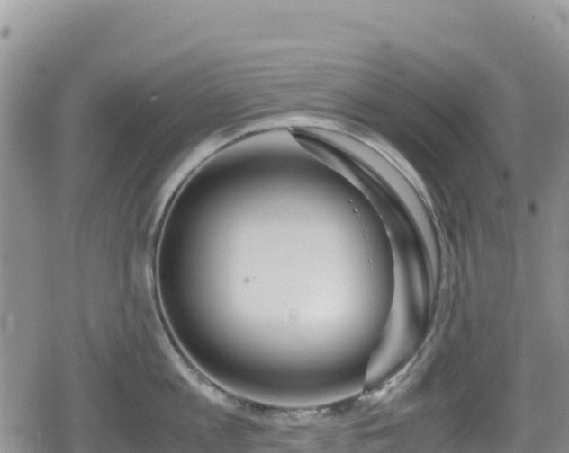 X0000080710813200612221141