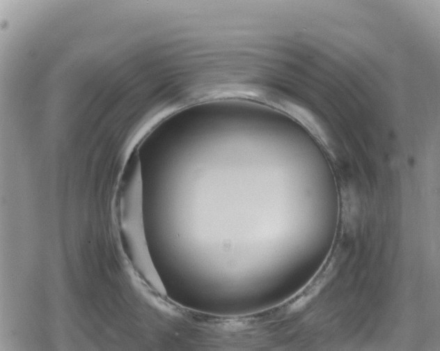 X0000080710814200612221141