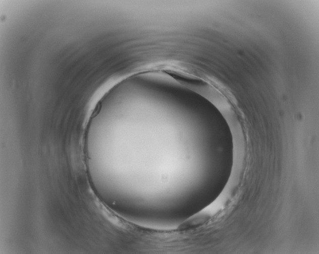 X0000080710816200612221141