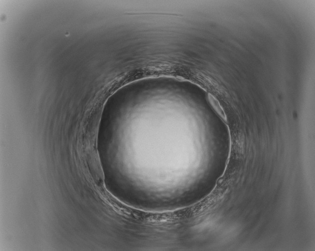 X0000080710817200612221140