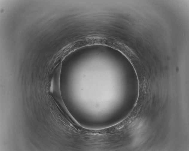 X0000080710821200612221140