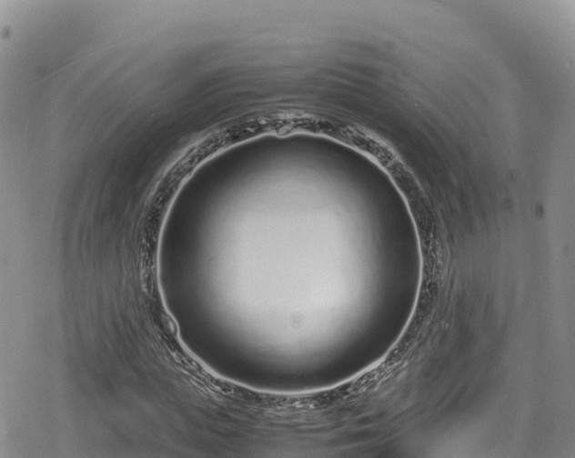 X0000080710823200612221140