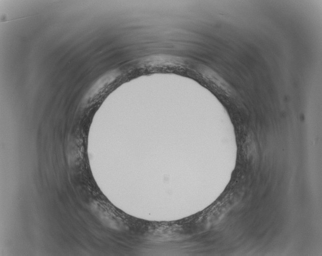 X0000080710824200612221140