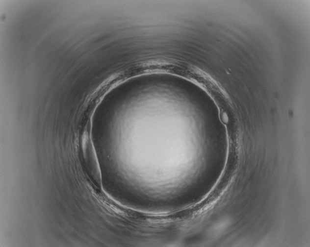 X0000080710825200612221140