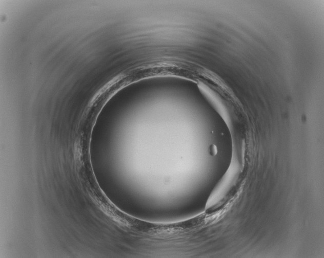 X0000080710826200612221140