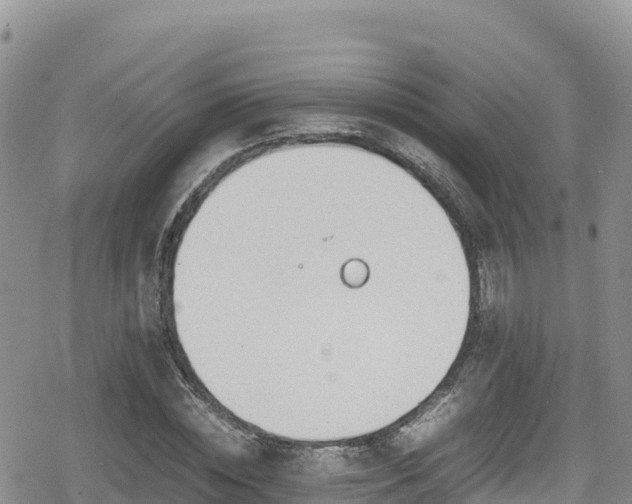 X0000080710828200612221140