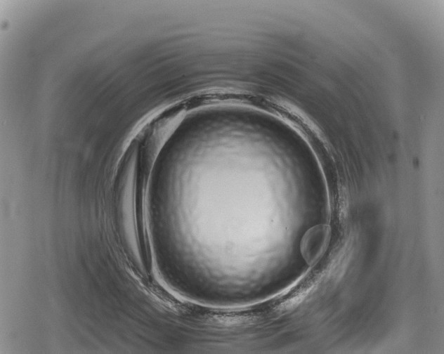 X0000080710829200612221140