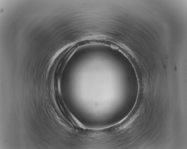 X0000080710830200612221140