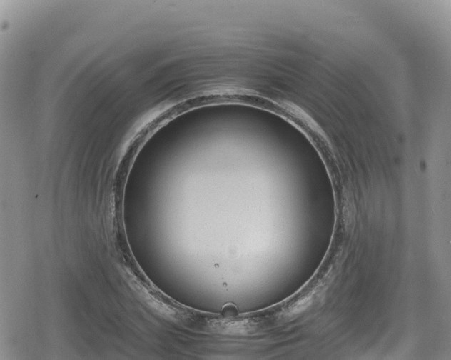 X0000080710831200612221140