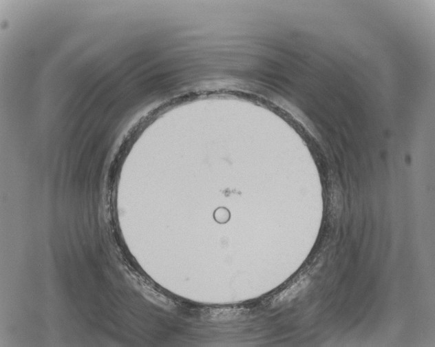 X0000080710832200612221140