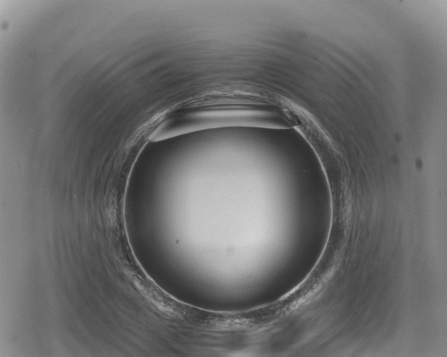 X0000080710833200612221140