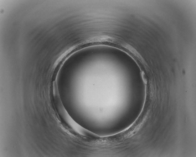 X0000080710834200612221140