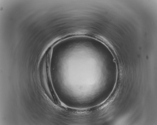 X0000080710835200612221141