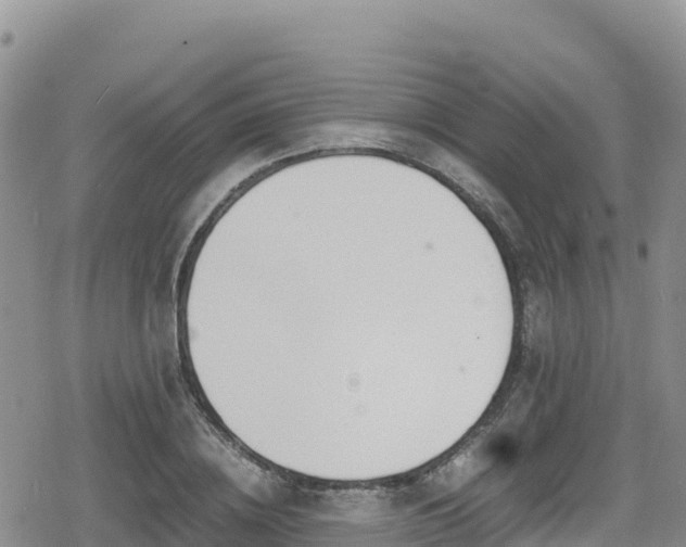 X0000080710836200612221141