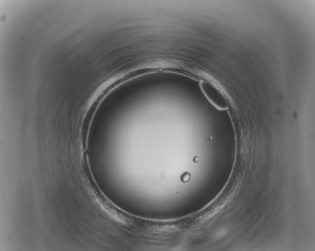 X0000080710837200612221141