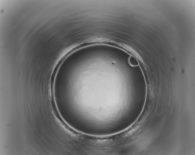 X0000080710839200612221141