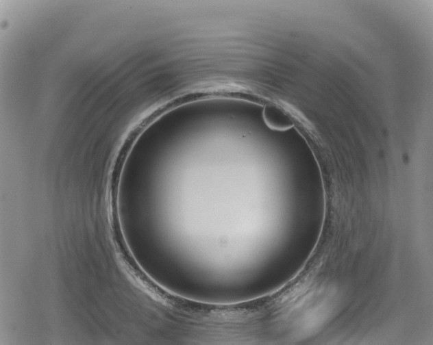 X0000080710840200612221141