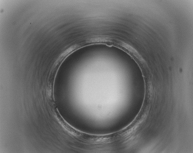 X0000080710841200612221141