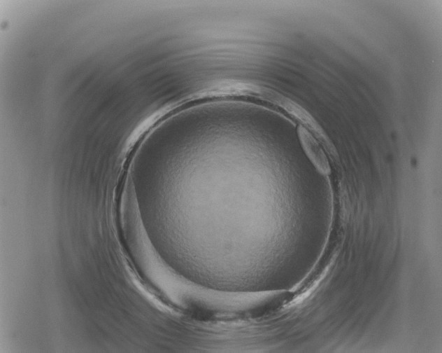 X0000080710842200612221141