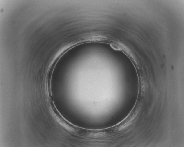 X0000080710843200612221141