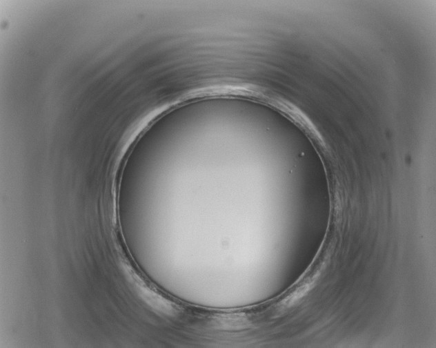 X0000080710844200612221141