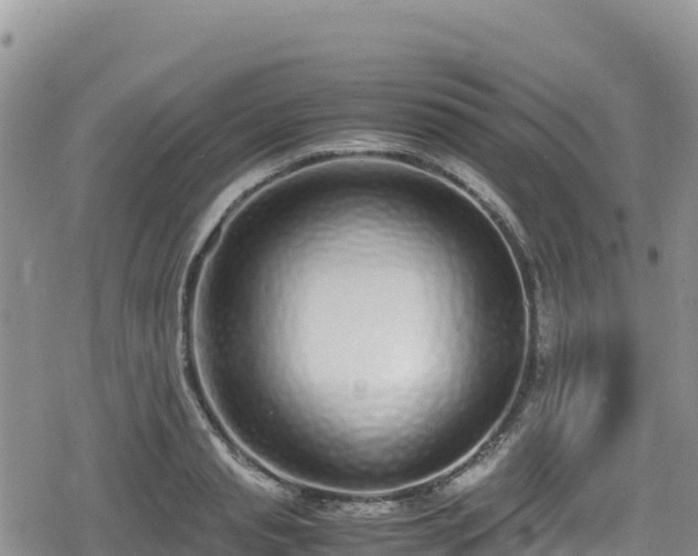 X0000080710845200612221141