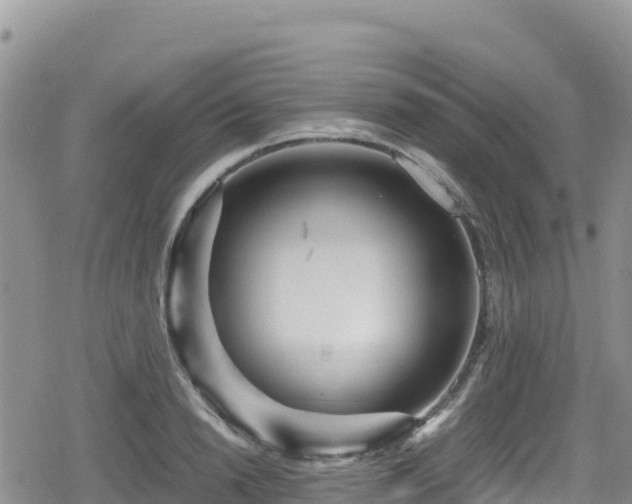 X0000080710846200612221141