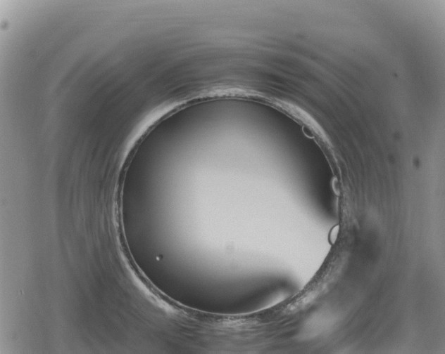 X0000080710847200612221141