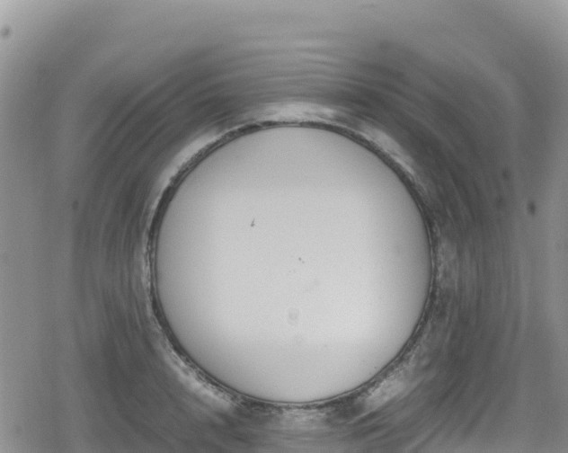 X0000080710848200612221141