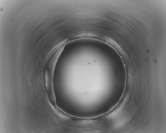 X0000080710849200612221141